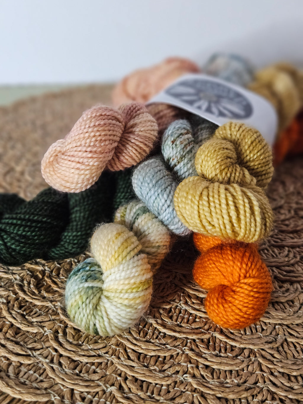 The Pumpkin Patch Mini Sets