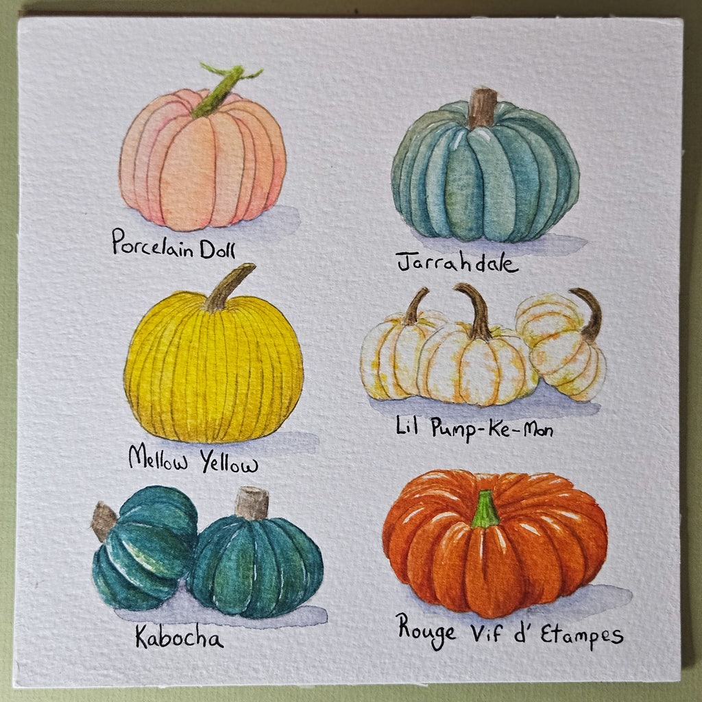 The Pumpkin Patch Watercolor Originals by Erin Lilly